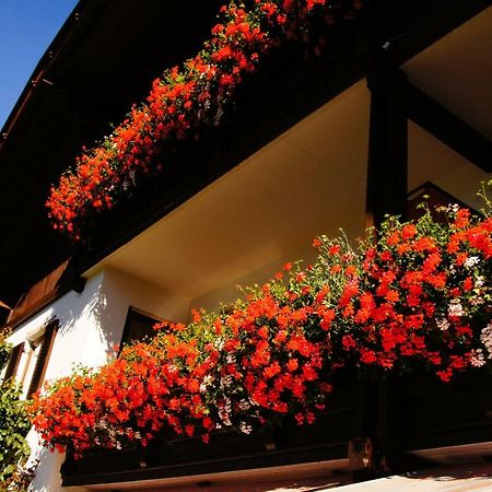 Pension Appartement Santl Anterselva di Sotto Exterior foto